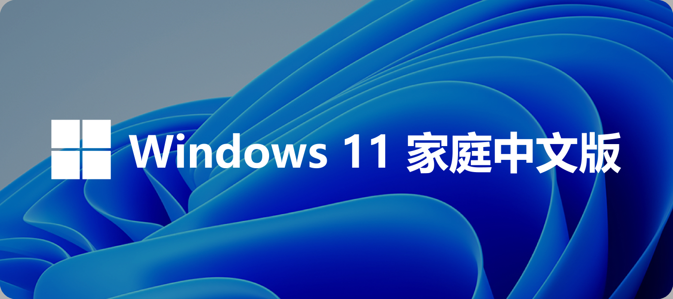 Windows 11 家庭中文版