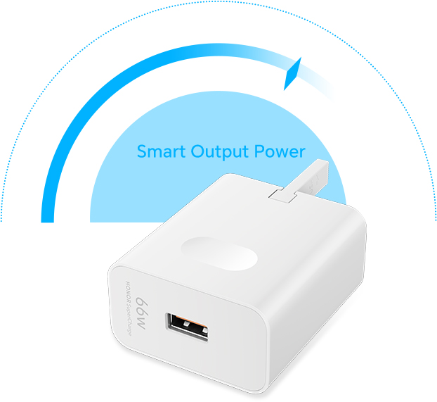 HONOR SuperCharge Power Adapter (Max 66W)